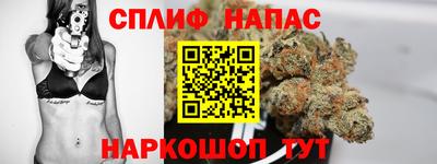тгк Шелехов