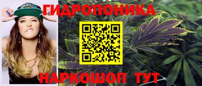 тгк Шелехов
